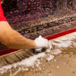 The Best Carpet Cleaning Company