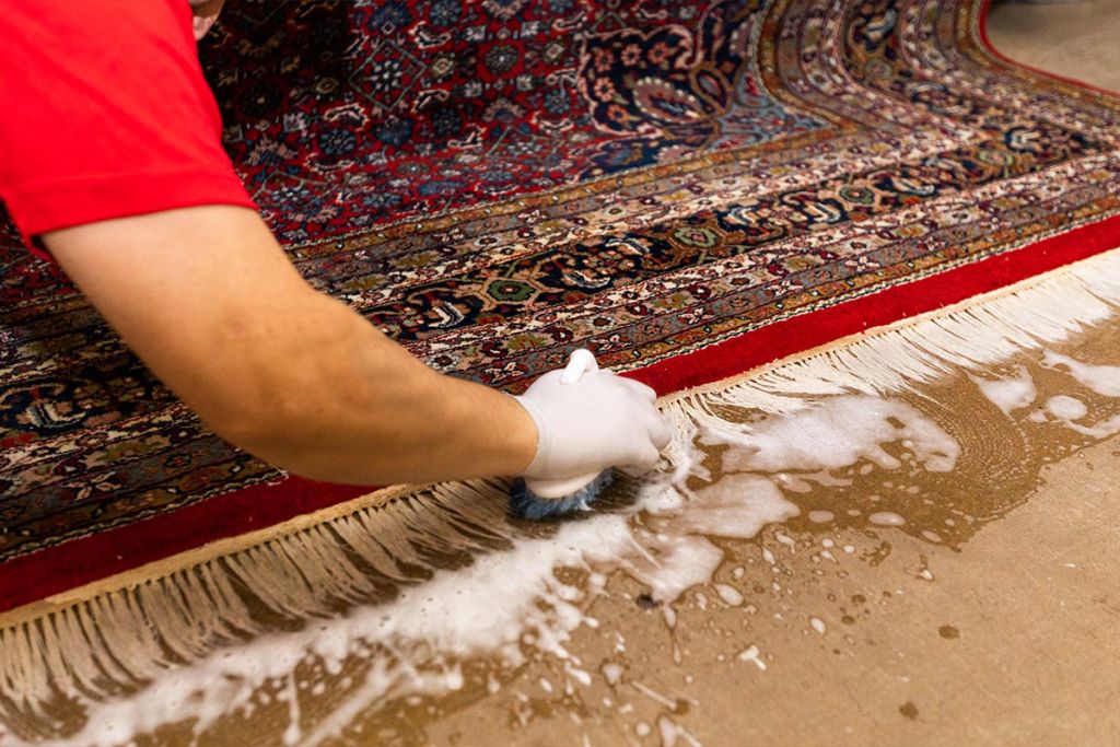 The Best Carpet Cleaning Company