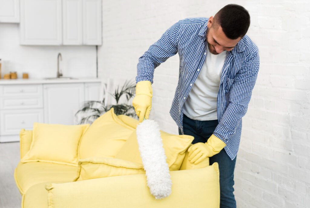 sofa cleaning