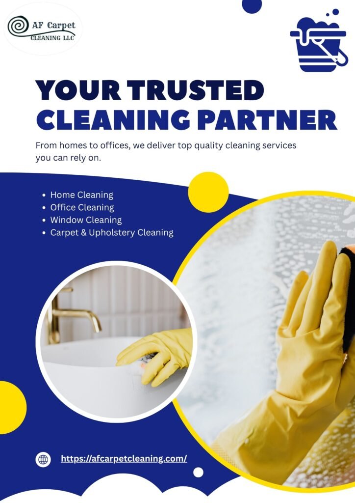 Sofa Steam Cleaning