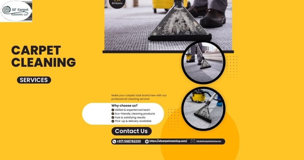 pet stain and odour removal