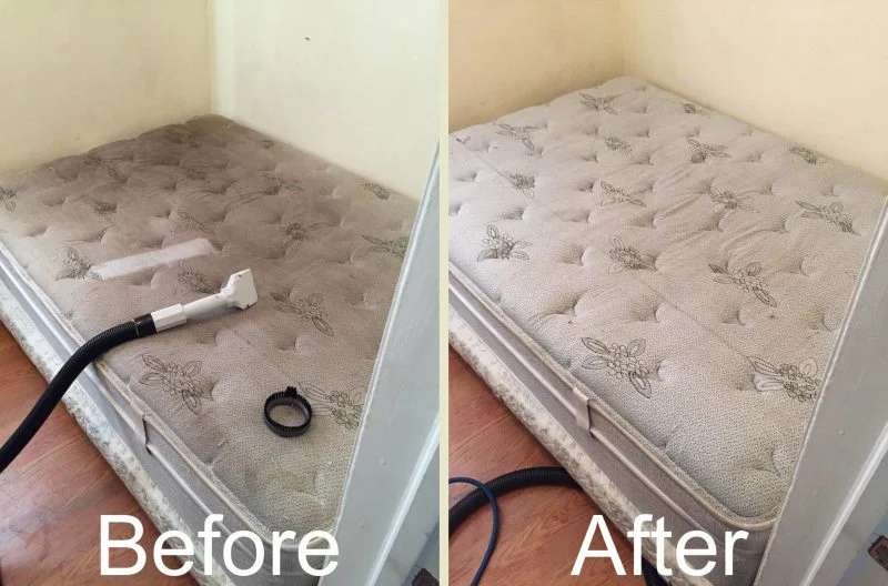 Mattress Steam Cleaning